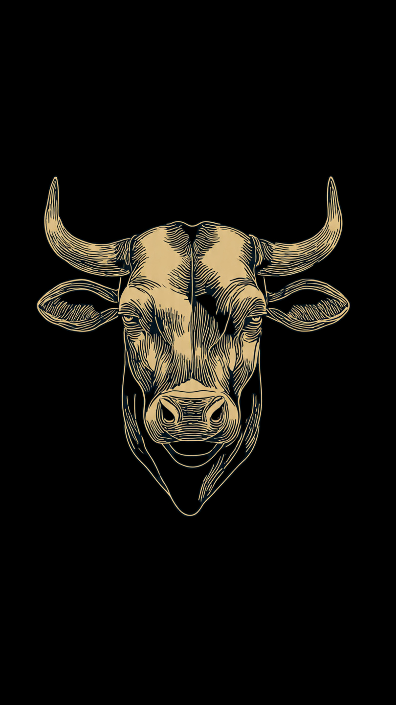 taurus zodiac illustration